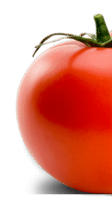 Food Kinematica